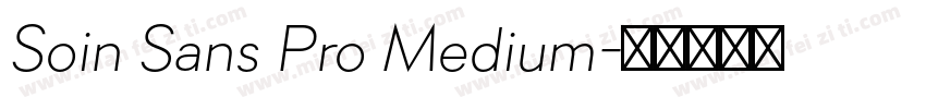Soin Sans Pro Medium字体转换